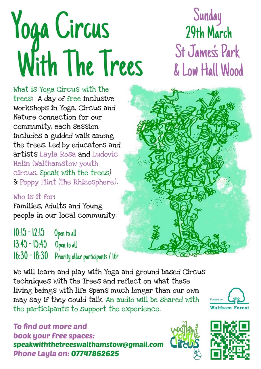 yoga circus with the trees